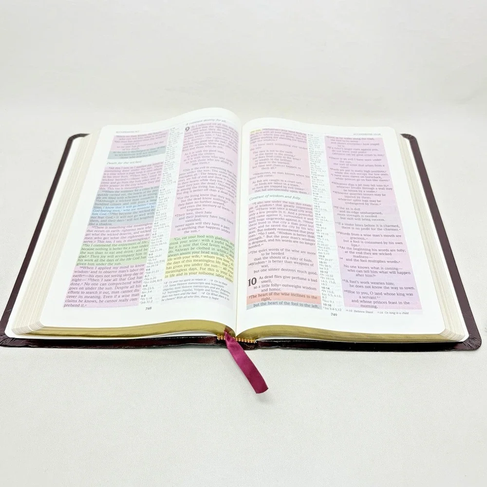 Vintage The Rainbow Study Bible NIV Bold Line Edition Color Coded Burgundy 1996